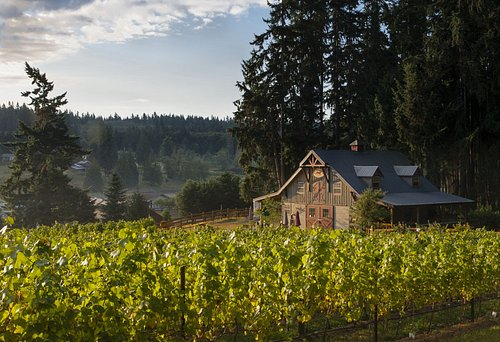 Introduction to Whidbey Island’s Vineyards