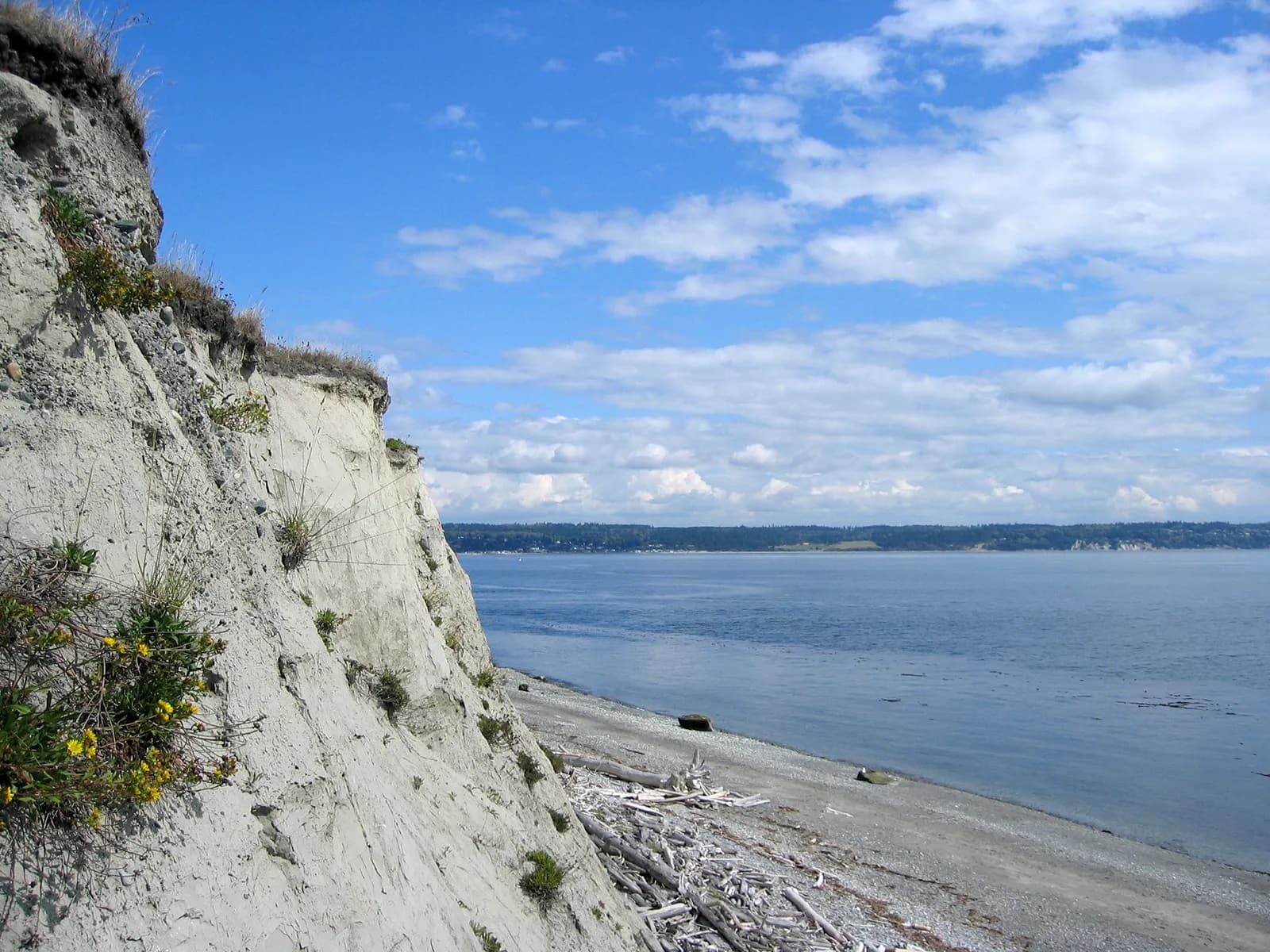 How Big is Whidbey Island: Exploring the Washington’s Gem